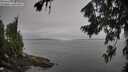 ./images/koeye/fitz-hugh/20260805/fitz-hugh20260805_105002M.jpg