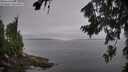 ./images/koeye/fitz-hugh/20260805/fitz-hugh20260805_105501M.jpg