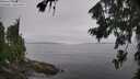 ./images/koeye/fitz-hugh/20260805/fitz-hugh20260805_110002M.jpg