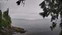 ./images/koeye/fitz-hugh/20260805/fitz-hugh20260805_110501M.jpg