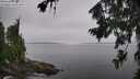 ./images/koeye/fitz-hugh/20260805/fitz-hugh20260805_111501M.jpg