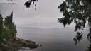 ./images/koeye/fitz-hugh/20260805/fitz-hugh20260805_112501M.jpg