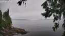./images/koeye/fitz-hugh/20260805/fitz-hugh20260805_113001M.jpg