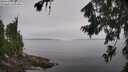 ./images/koeye/fitz-hugh/20260805/fitz-hugh20260805_113501M.jpg
