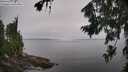 ./images/koeye/fitz-hugh/20260805/fitz-hugh20260805_114501M.jpg