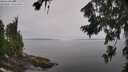 ./images/koeye/fitz-hugh/20260805/fitz-hugh20260805_120501M.jpg