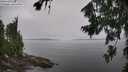 ./images/koeye/fitz-hugh/20260805/fitz-hugh20260805_122501M.jpg