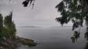 ./images/koeye/fitz-hugh/20260805/fitz-hugh20260805_123501M.jpg
