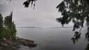 ./images/koeye/fitz-hugh/20260805/fitz-hugh20260805_124001M.jpg