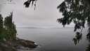 ./images/koeye/fitz-hugh/20260805/fitz-hugh20260805_124502M.jpg