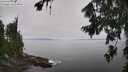 ./images/koeye/fitz-hugh/20260805/fitz-hugh20260805_125501M.jpg
