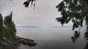 ./images/koeye/fitz-hugh/20260805/fitz-hugh20260805_130501M.jpg