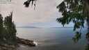 ./images/koeye/fitz-hugh/20260805/fitz-hugh20260805_134001M.jpg