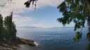 ./images/koeye/fitz-hugh/20260805/fitz-hugh20260805_134501M.jpg