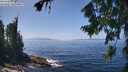./images/koeye/fitz-hugh/20260805/fitz-hugh20260805_135001M.jpg