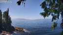 ./images/koeye/fitz-hugh/20260805/fitz-hugh20260805_135501M.jpg