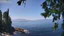 ./images/koeye/fitz-hugh/20260805/fitz-hugh20260805_140002M.jpg