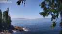 ./images/koeye/fitz-hugh/20260805/fitz-hugh20260805_140501M.jpg
