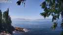 ./images/koeye/fitz-hugh/20260805/fitz-hugh20260805_141001M.jpg