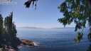 ./images/koeye/fitz-hugh/20260805/fitz-hugh20260805_141501M.jpg