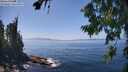 ./images/koeye/fitz-hugh/20260805/fitz-hugh20260805_142002M.jpg