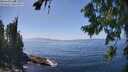 ./images/koeye/fitz-hugh/20260805/fitz-hugh20260805_142501M.jpg