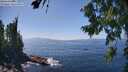 ./images/koeye/fitz-hugh/20260805/fitz-hugh20260805_143001M.jpg