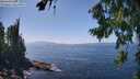 ./images/koeye/fitz-hugh/20260805/fitz-hugh20260805_143501M.jpg