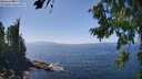 ./images/koeye/fitz-hugh/20260805/fitz-hugh20260805_144001M.jpg