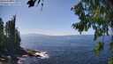 ./images/koeye/fitz-hugh/20260805/fitz-hugh20260805_144501M.jpg