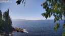 ./images/koeye/fitz-hugh/20260805/fitz-hugh20260805_145501M.jpg