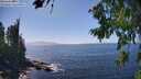 ./images/koeye/fitz-hugh/20260805/fitz-hugh20260805_150001M.jpg