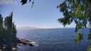 ./images/koeye/fitz-hugh/20260805/fitz-hugh20260805_150502M.jpg