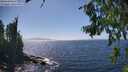 ./images/koeye/fitz-hugh/20260805/fitz-hugh20260805_151501M.jpg