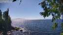 ./images/koeye/fitz-hugh/20260805/fitz-hugh20260805_152001M.jpg