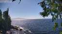 ./images/koeye/fitz-hugh/20260805/fitz-hugh20260805_152501M.jpg