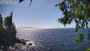 ./images/koeye/fitz-hugh/20260805/fitz-hugh20260805_153001M.jpg