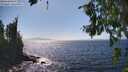 ./images/koeye/fitz-hugh/20260805/fitz-hugh20260805_153501M.jpg