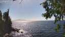 ./images/koeye/fitz-hugh/20260805/fitz-hugh20260805_154501M.jpg