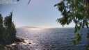 ./images/koeye/fitz-hugh/20260805/fitz-hugh20260805_160501M.jpg