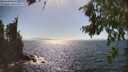 ./images/koeye/fitz-hugh/20260805/fitz-hugh20260805_162001M.jpg
