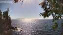 ./images/koeye/fitz-hugh/20260805/fitz-hugh20260805_162501M.jpg