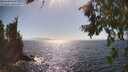 ./images/koeye/fitz-hugh/20260805/fitz-hugh20260805_163001M.jpg