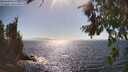./images/koeye/fitz-hugh/20260805/fitz-hugh20260805_163501M.jpg