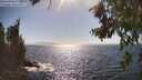 ./images/koeye/fitz-hugh/20260805/fitz-hugh20260805_164001M.jpg