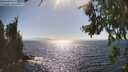 ./images/koeye/fitz-hugh/20260805/fitz-hugh20260805_164501M.jpg