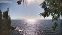 ./images/koeye/fitz-hugh/20260805/fitz-hugh20260805_165501M.jpg