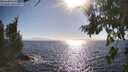./images/koeye/fitz-hugh/20260805/fitz-hugh20260805_173501M.jpg