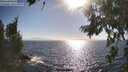 ./images/koeye/fitz-hugh/20260805/fitz-hugh20260805_174001M.jpg