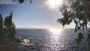 ./images/koeye/fitz-hugh/20260805/fitz-hugh20260805_175001M.jpg